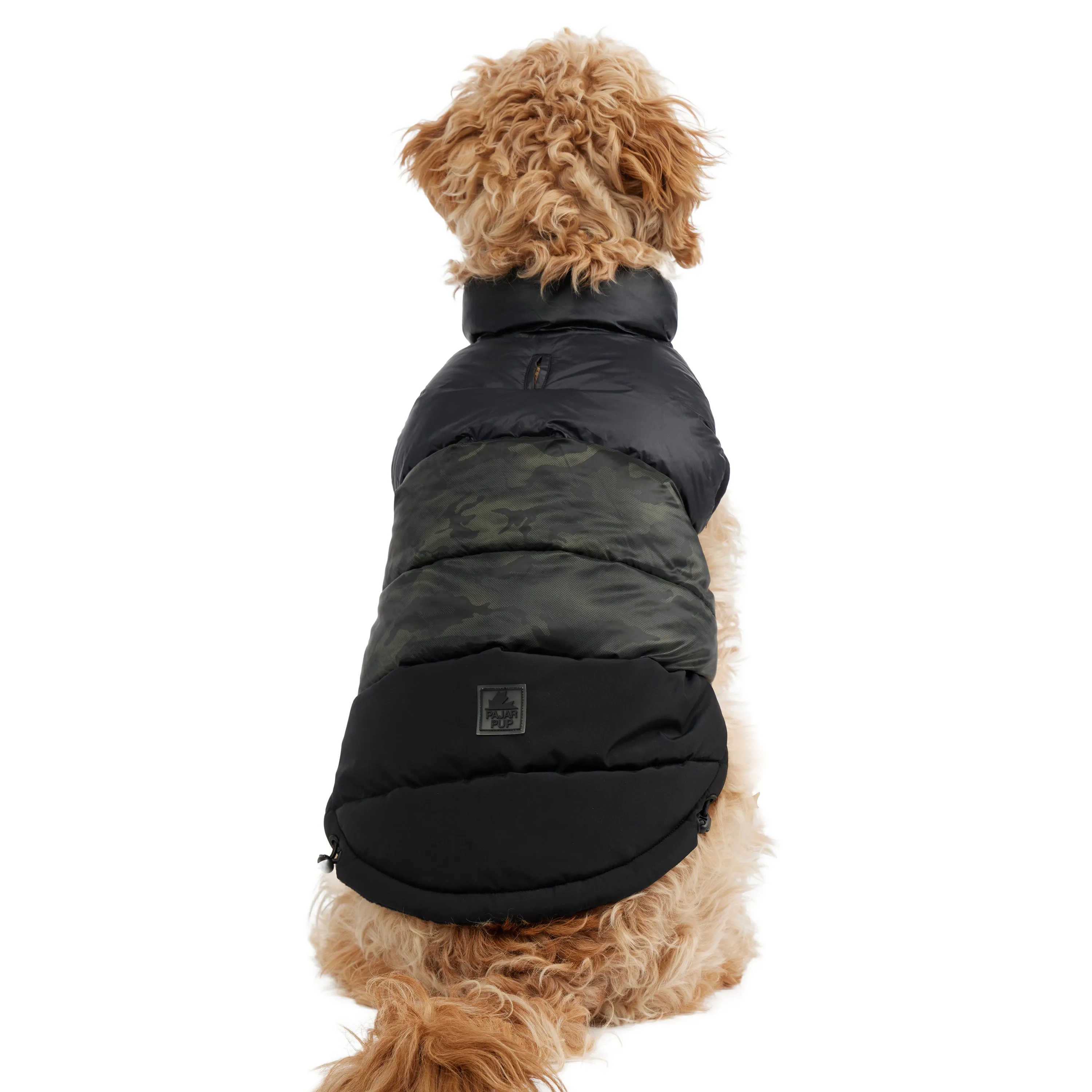 Alexis Jacket for Dogs