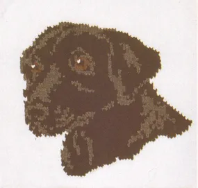 Black Lab Jacket Pattern