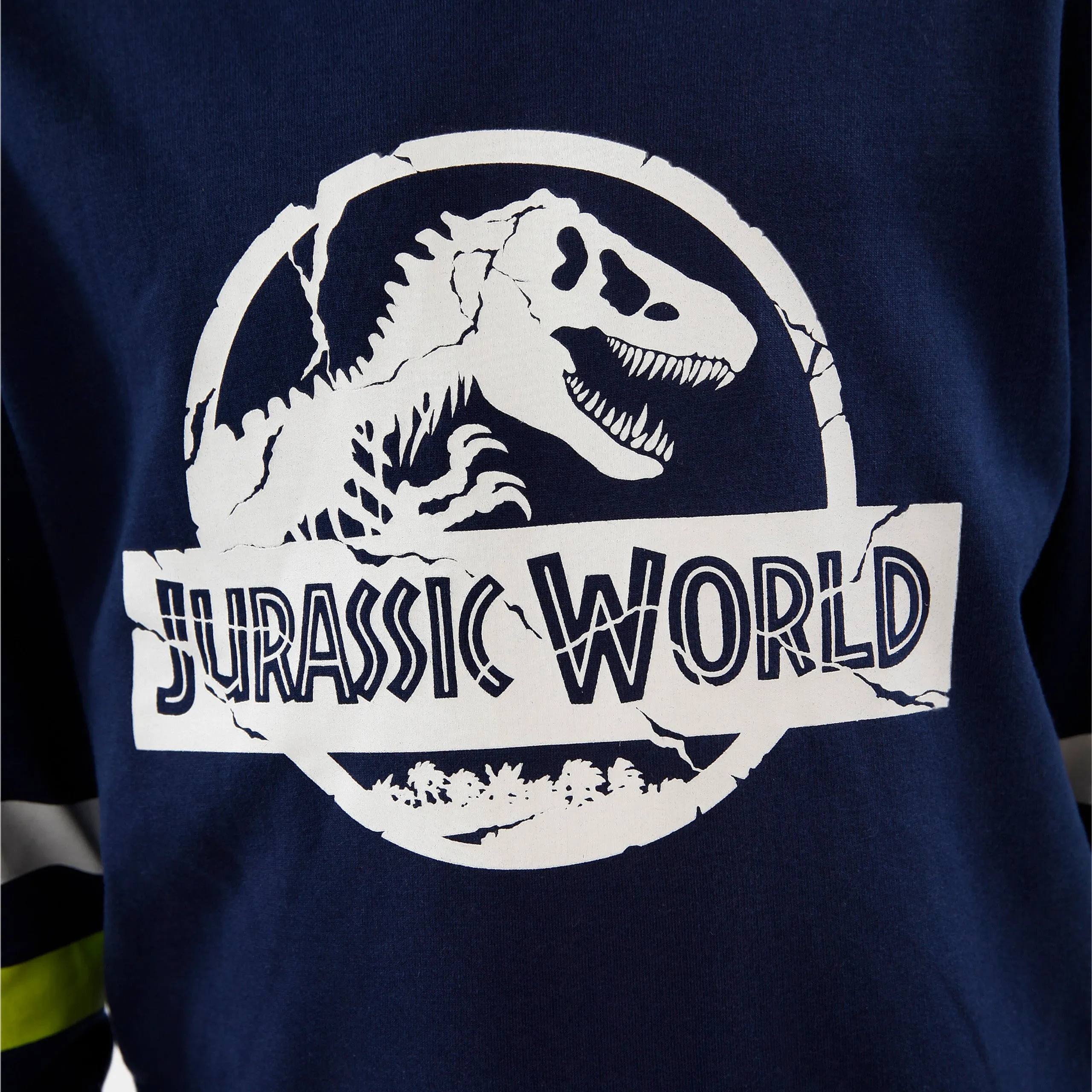 Jurassic World Hoodie