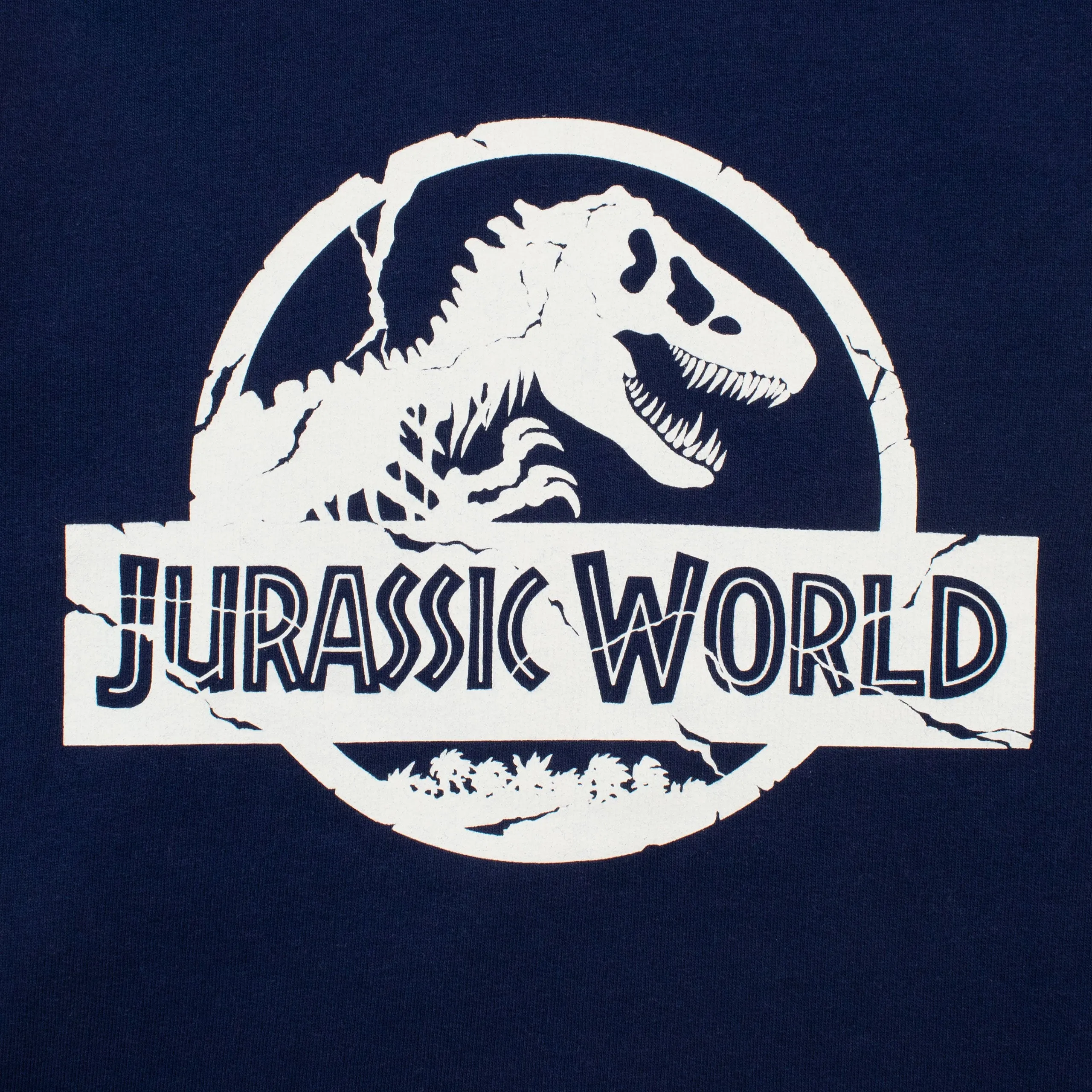 Jurassic World Hoodie